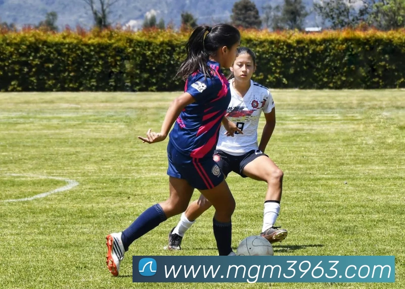 美高梅官网首页APP 高清赛事图