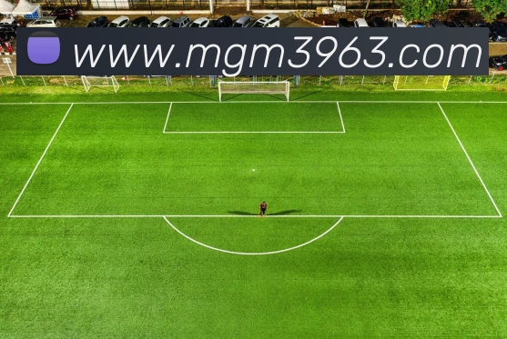 数据防护可视化